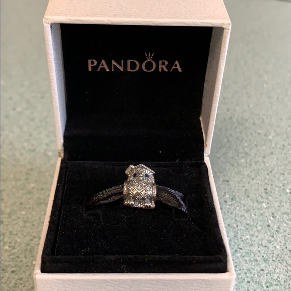 Pandora Owl Graduation Charm